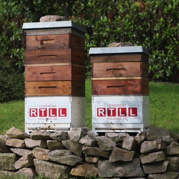 RTLL_MietBiene_9 (1)