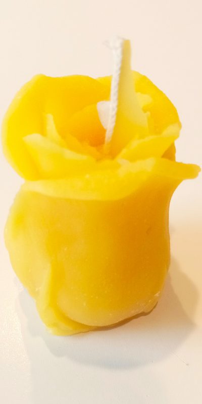 Rosenblüte_bearbeitet